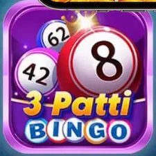 3 Patti Bingo